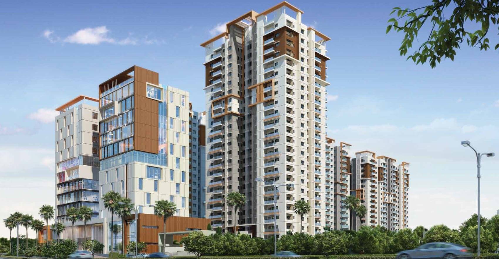 Scignyte Hyderabad Office